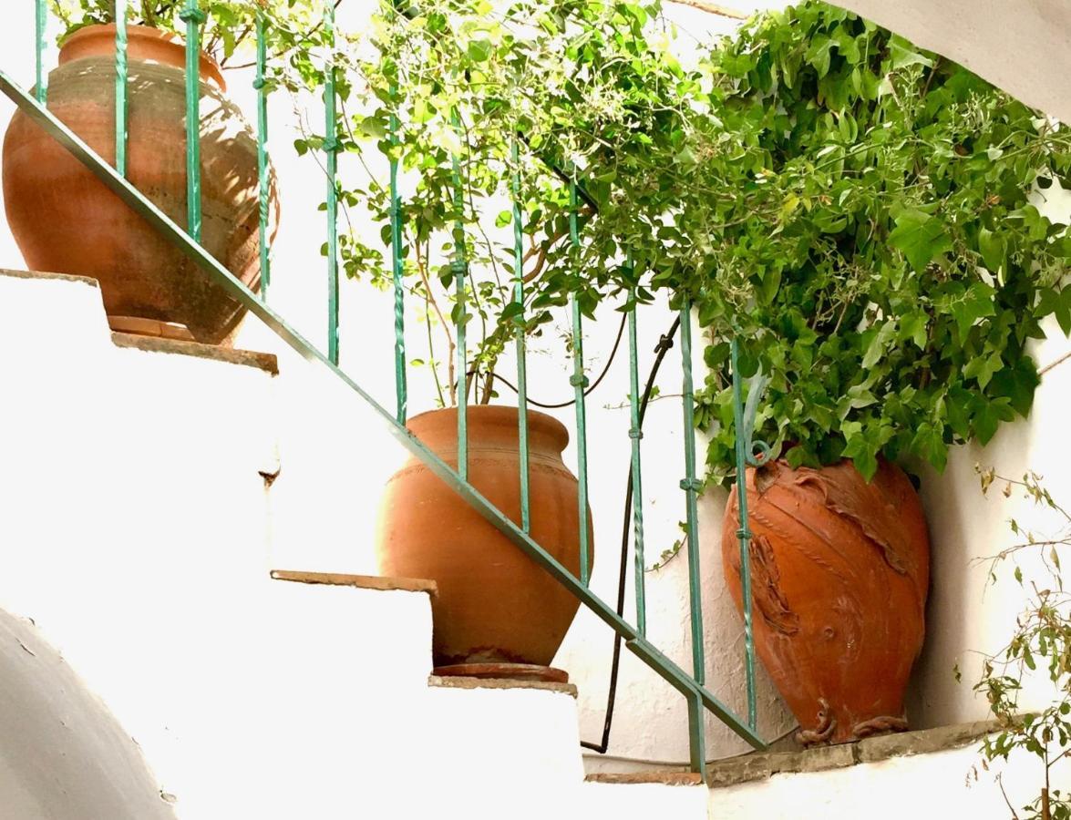 CASA DEL PATIO ÁRABE Casas Vejer Debra Villa Vejer de la Frontera Eksteriør billede
